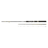 Daiwa 19 NT Bolentino
