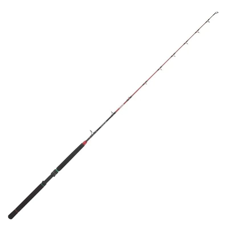 Daiwa 19 NT Trolling