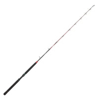 Daiwa 19 NT Trolling