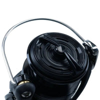 Daiwa 21 BG Black LT
