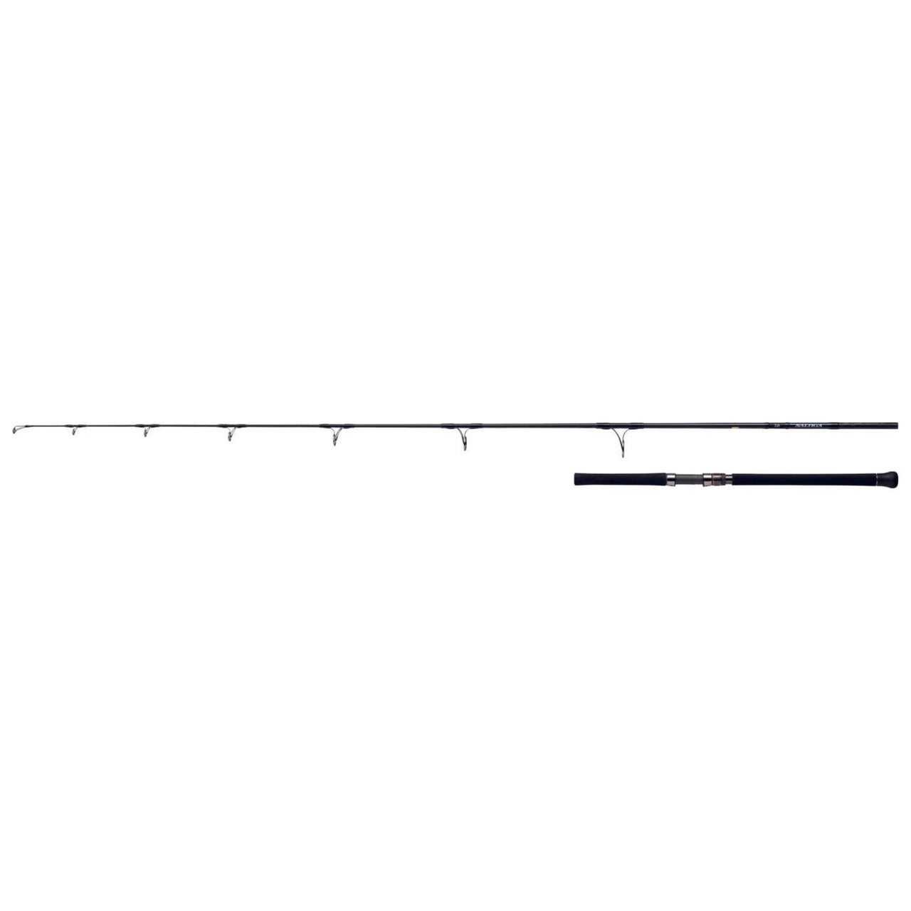 Daiwa 21 Saltiga Casting