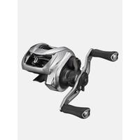 Daiwa 21 Zillion SV TW G