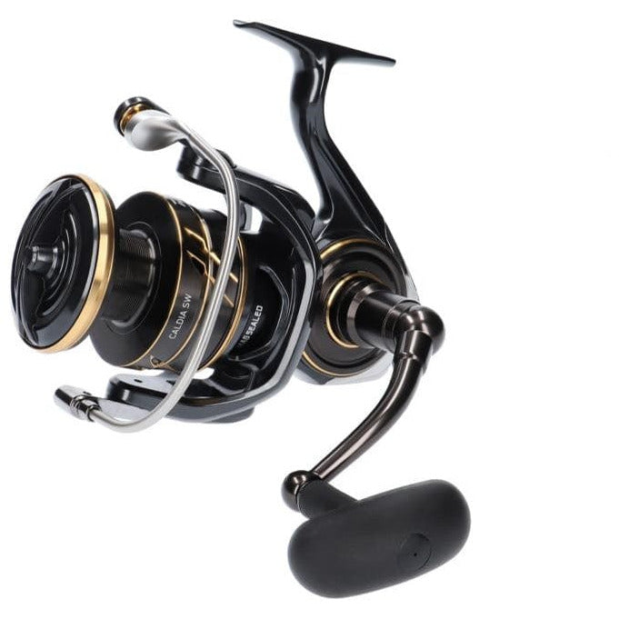 Daiwa 23 Caldia SW