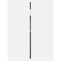Daiwa Amorphous Megatop Whip