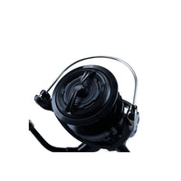 Daiwa BG Black LT