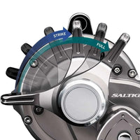 Daiwa Saltiga LD