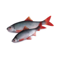 Fox Rage Ultra Natural Fillet 4pcs