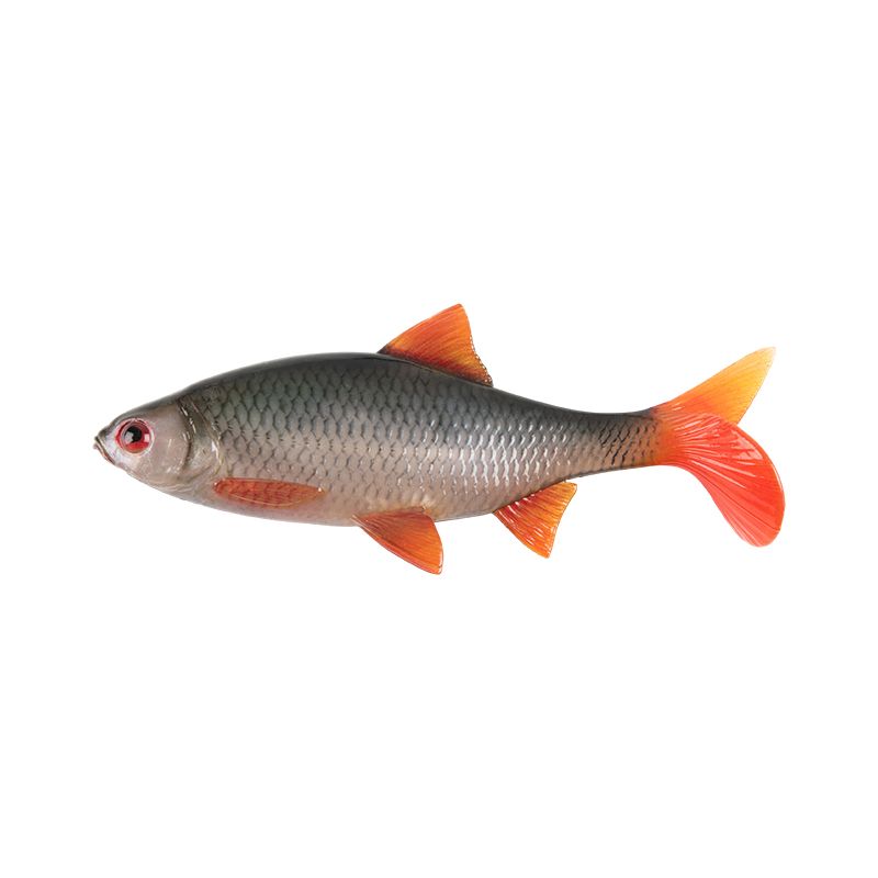 Fox Rage Ultra Realistic Replicant Roach