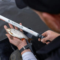 Guru Aventus Zero 600 System Whip Top 2 Hollow Kit