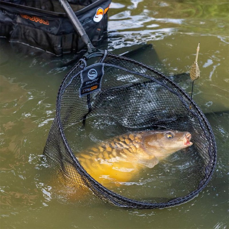 Guru Latex Net