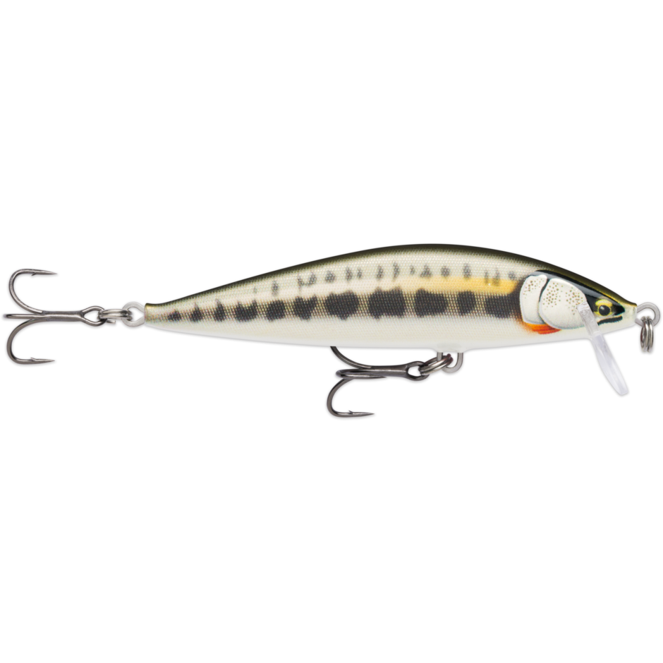 RAPALA Countdown Elite CDE95