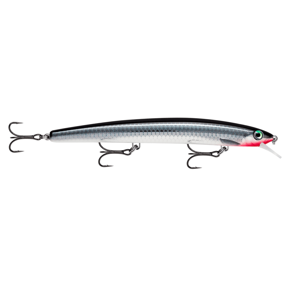 Rapala vobleri varalice Live Baby Sea Bass (BSBL) Rapala Max Rap MXR15