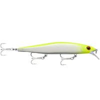 Rapala Precision Xtreme Mavrik Salt Water 110