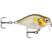 Rapala X-Light Crank Shallow Runner FNCS03