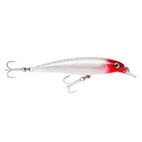 Rapala X-Rap Salt Walter SXR10