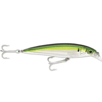 Rapala X-Rap Salt Water SXR12