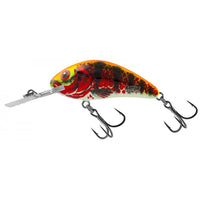 Salmo H5 5F Rattlin Hornet Floating 5.5cm