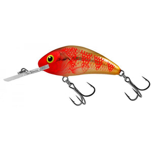 Salmo H5 5F Rattlin Hornet Floating 5.5cm