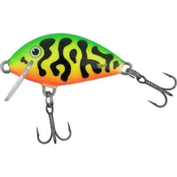 Salmo IT3F