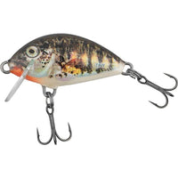 Salmo IT3F