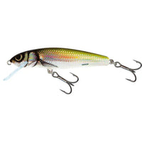 SALMO Minnow 5cm Sinking