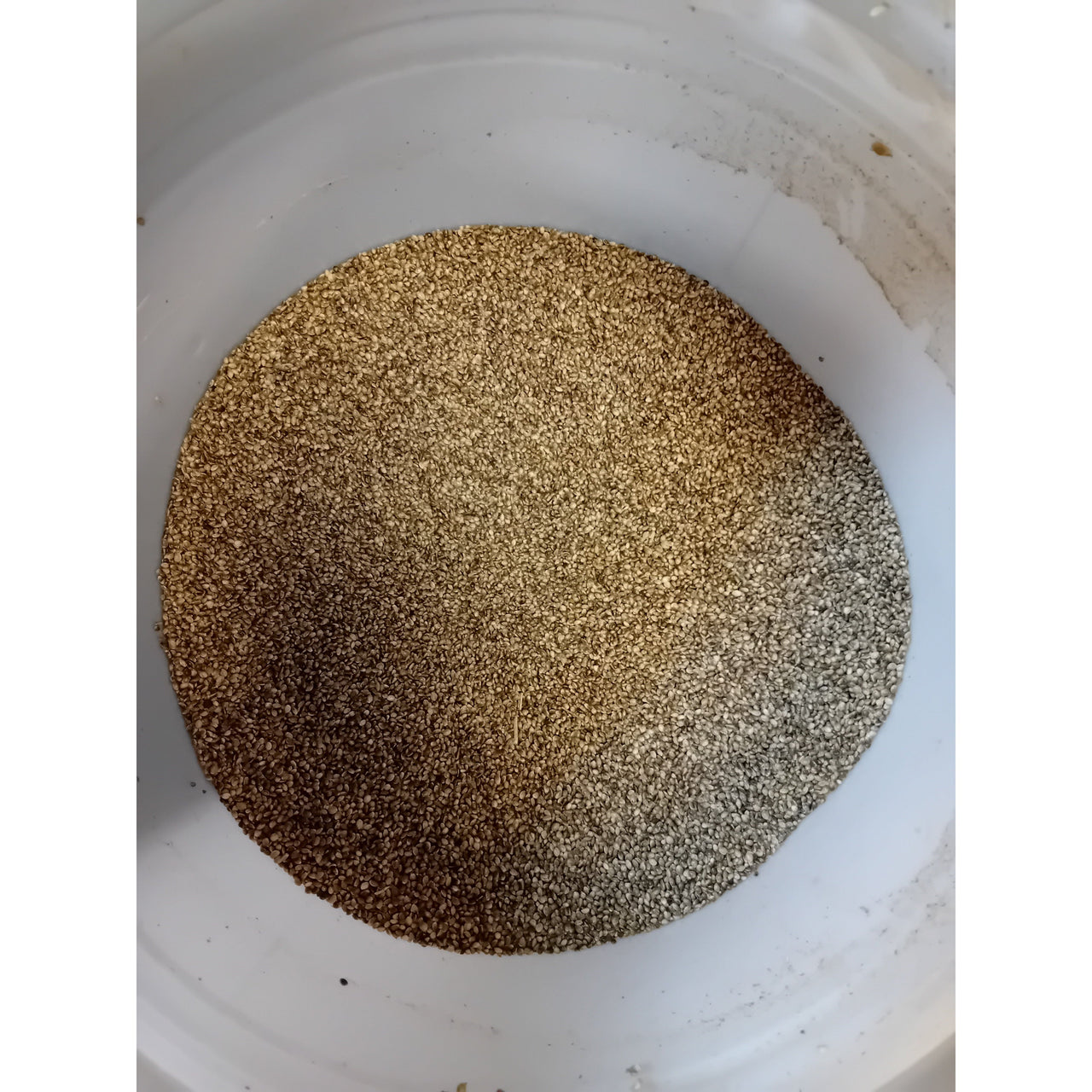 Sensas Small Hemp NO2 For G/Bait 1kg