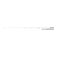 Shimano Stradic Spinning Seabass