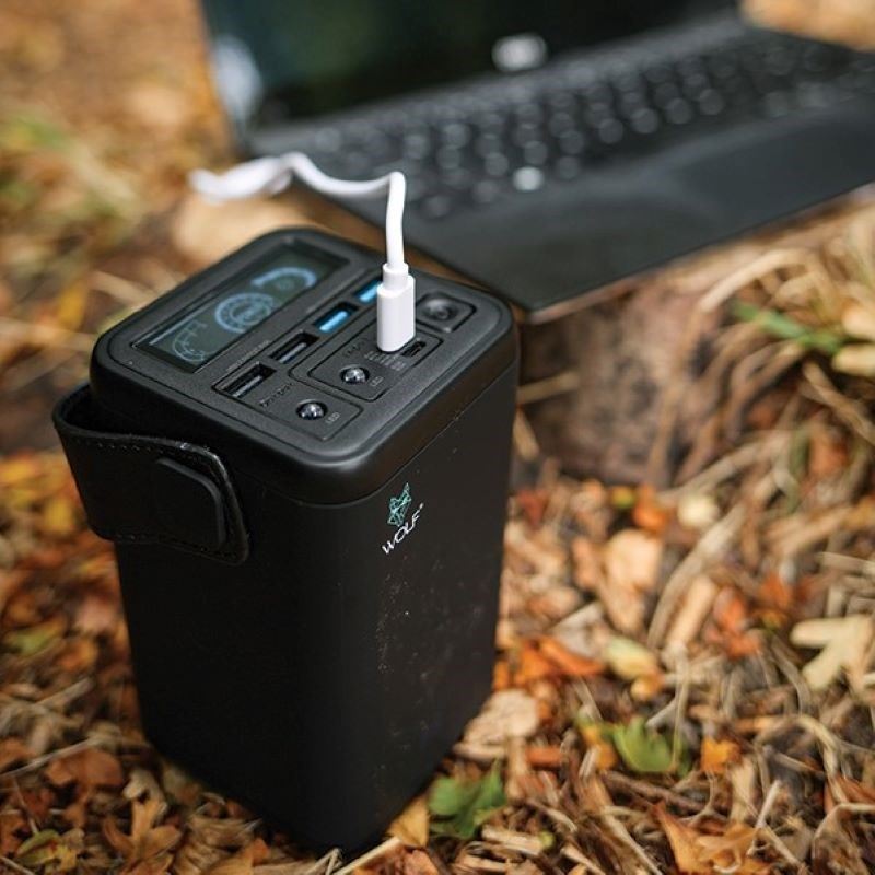 Wolf PS60 + Power Station (Euro Plug)