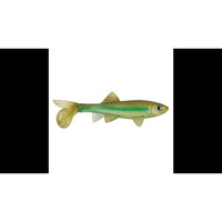 Berkley Power Bait Sick Fish 10cm Light Hitch 2pcs - 1480542
