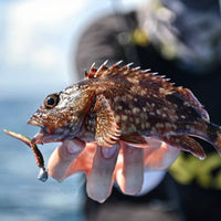 BKK Ultra Light Fishing Micro Jighead Silent Chaser Punch Head LRF