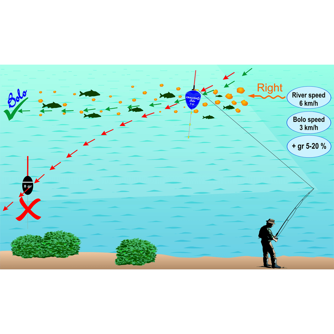 bolo pads to lure fish Cralusso Bolo Float for Bolognese Fishing Rods – MatchFishing