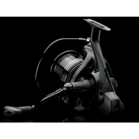 DAIWA 18 Emblem 35SCW LD QD