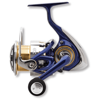 DAIWA 18TDR MATCH & FEEDER QD