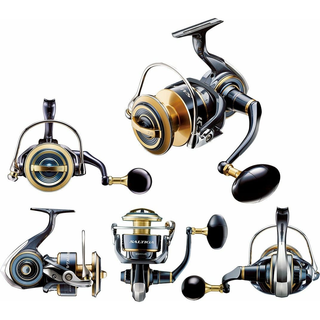 DAIWA 20 Saltiga (G)