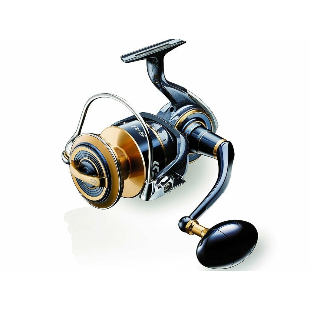 DAIWA 20 Saltiga (G)