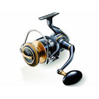 DAIWA 20 Saltiga (G)