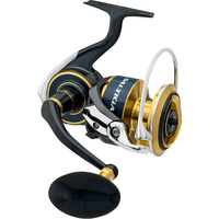 DAIWA 20 Saltiga (G)