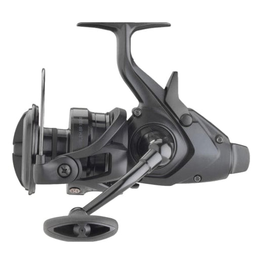 DAIWA 22 Emblem Br 10000