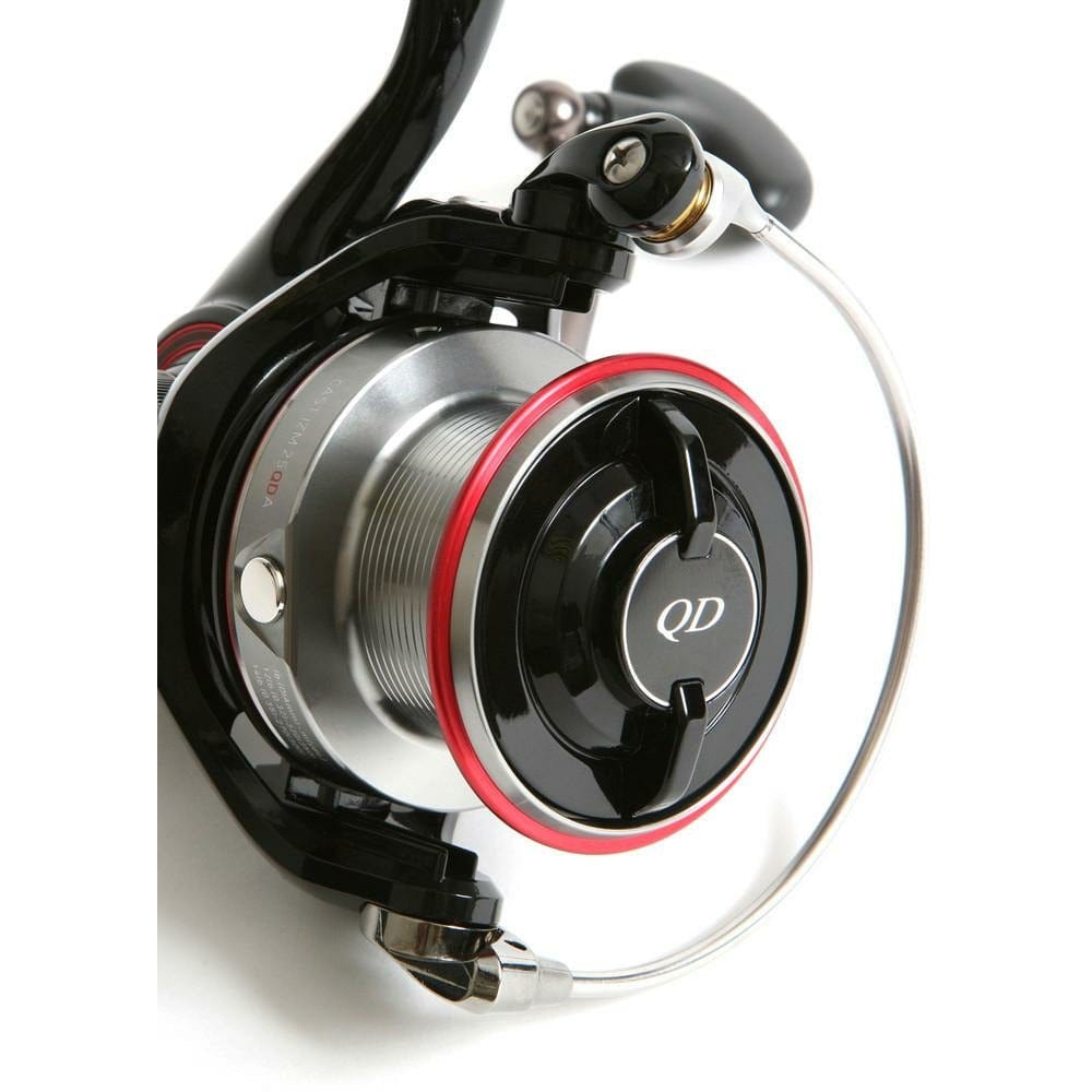 DAIWA Cast'izm 25QDA