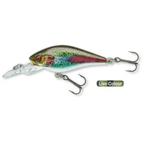 DAIWA Prorex PX Baby CB 40