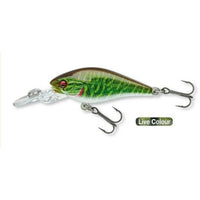 DAIWA Prorex PX Baby CB 40