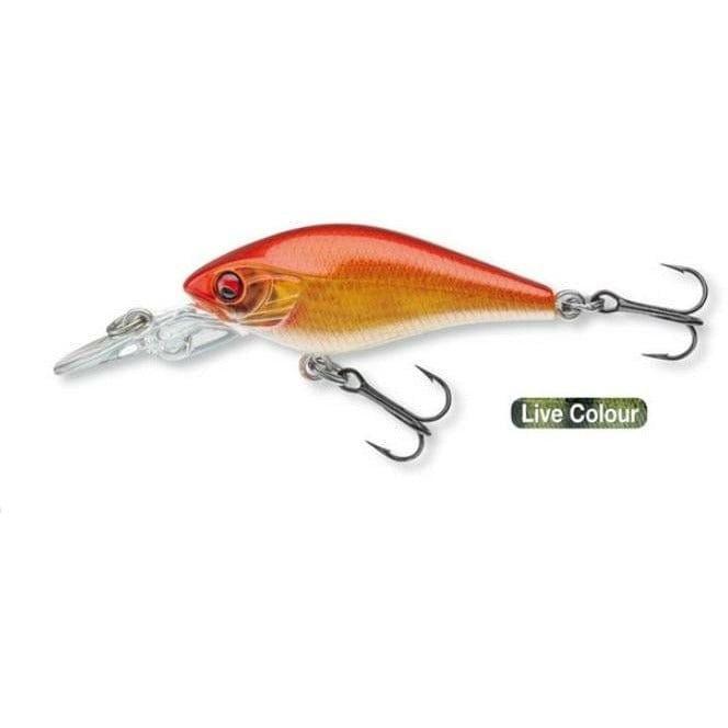 DAIWA Prorex PX Baby CB 40
