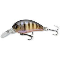 DAIWA Tournament Baby Crank 35F-DR