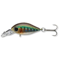 DAIWA Tournament Rolling Crank JR 27F-MR