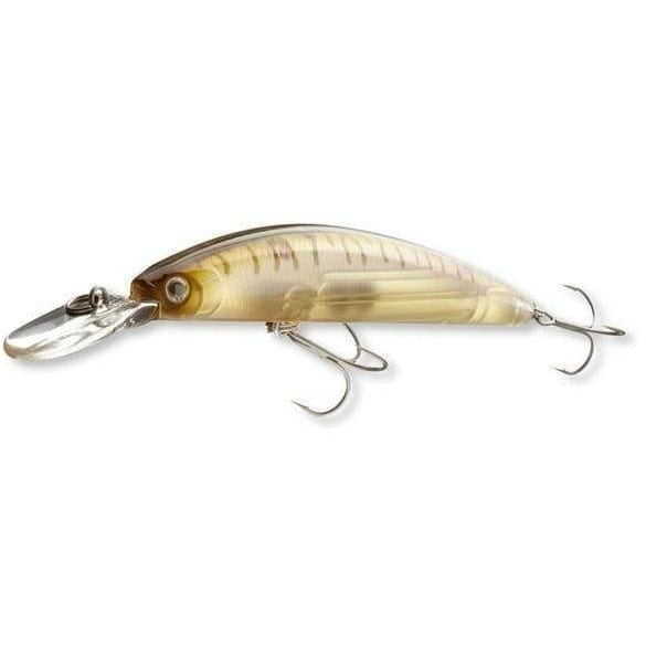 DAIWA TURNAMENT XL Shiner