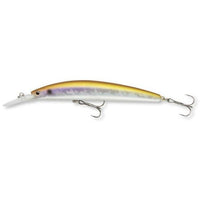 DAIWA TURNAMENT XL Shiner