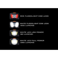 ESP Flood Light