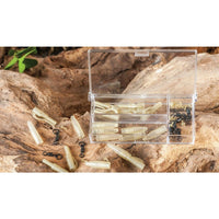 ExtraCarp LEAD CLIP SET WITH SWIVEL RING