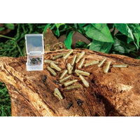ExtraCarp MINI LEAD CLIP SET