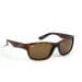 Fox Chunk Tortoise Shell Sunglasses CSN042